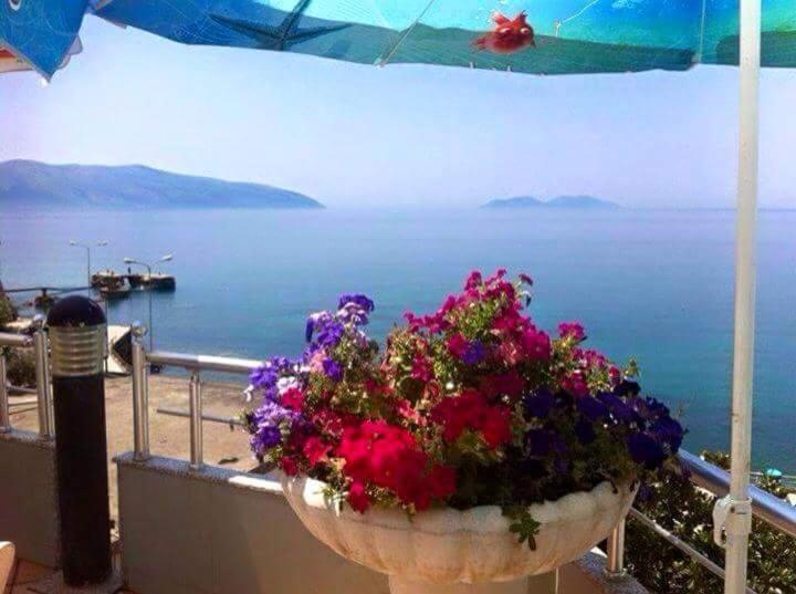 Vlora Apartments Exteriér fotografie